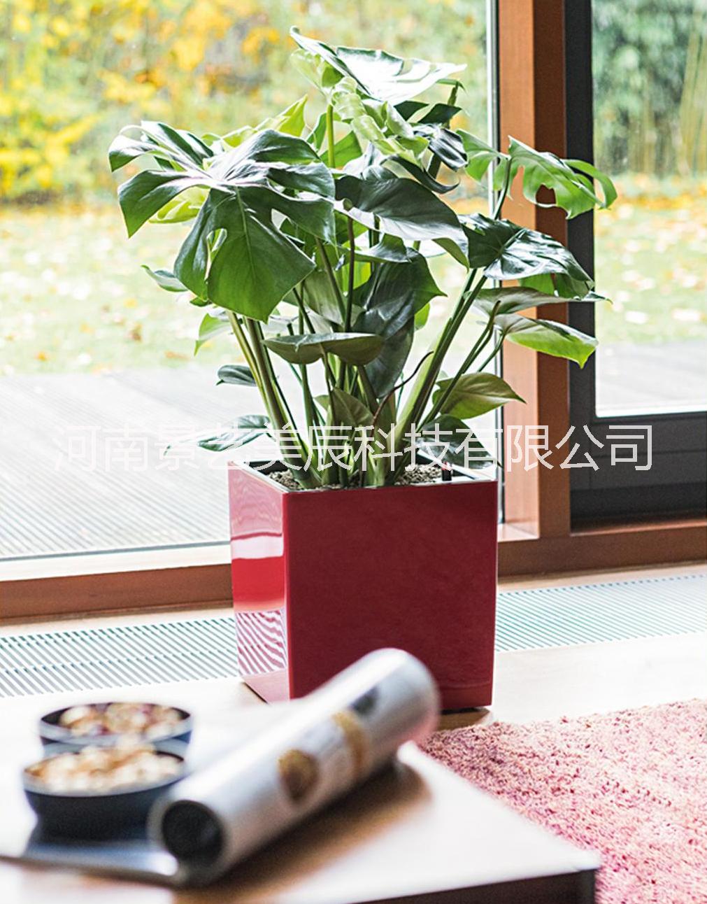 矮胖方型YM-04圖片