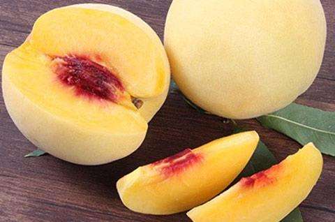 香萬(wàn)里圖片/香萬(wàn)里樣板圖 (3)