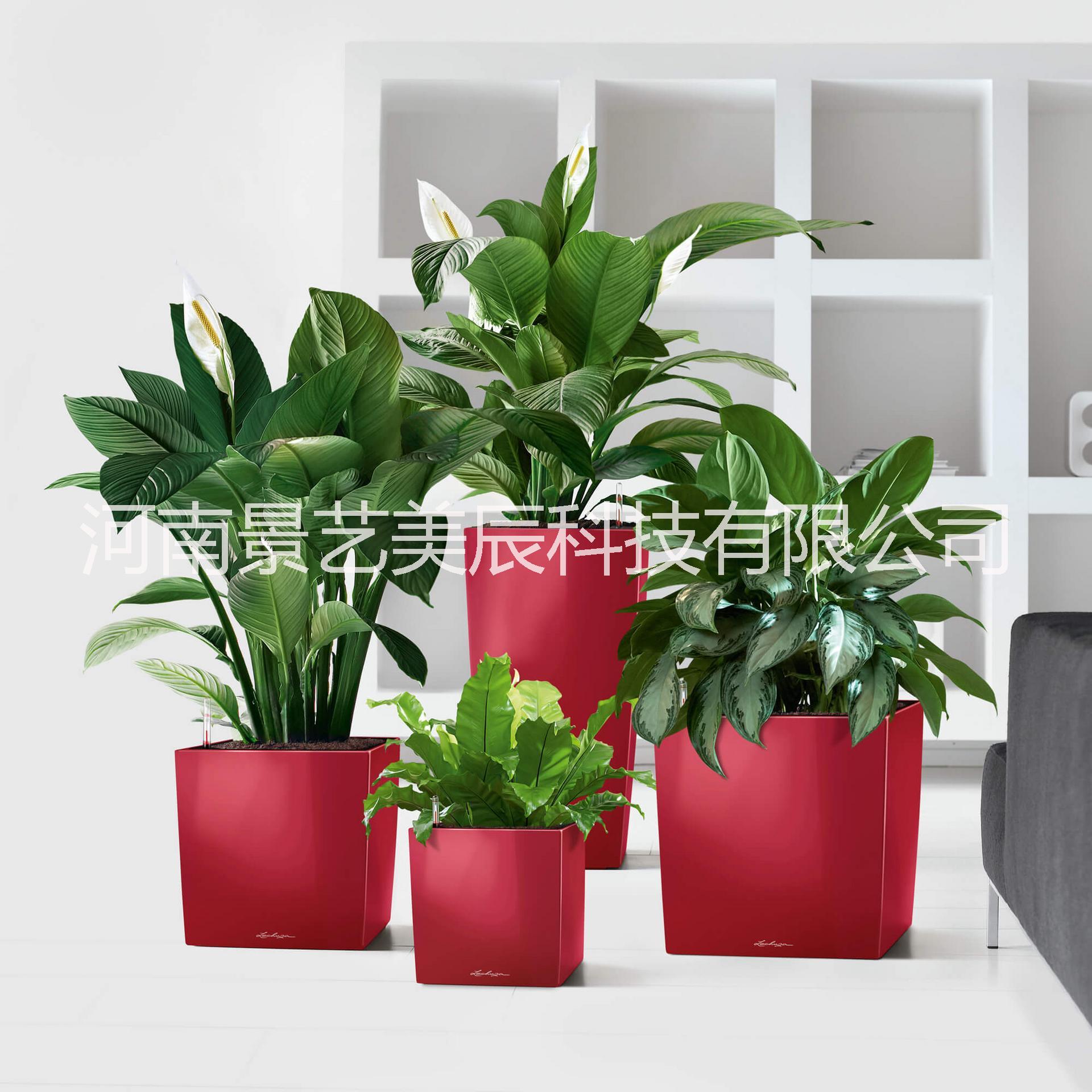 正方高柱型YM-07圖片/正方高柱型YM-07樣板圖 (2)
