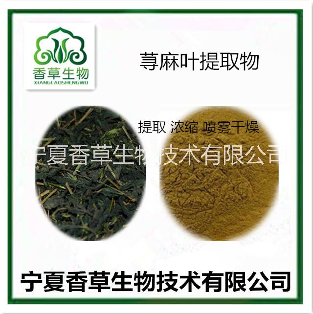 蕁麻葉粉 蕁麻根提取物 蕁麻多糖 黃酮  蕁麻濃縮浸膏粉 蕁麻芽純粉 蓖麻根提取物廠家 蓖麻籽粉價格