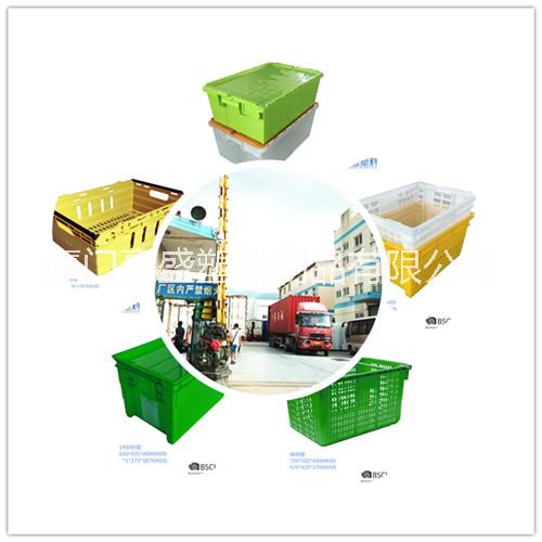 供應(yīng)優(yōu)質(zhì)廈門塑料筐，廈門塑料周轉(zhuǎn)筐，福建塑料筐，泉州塑料筐