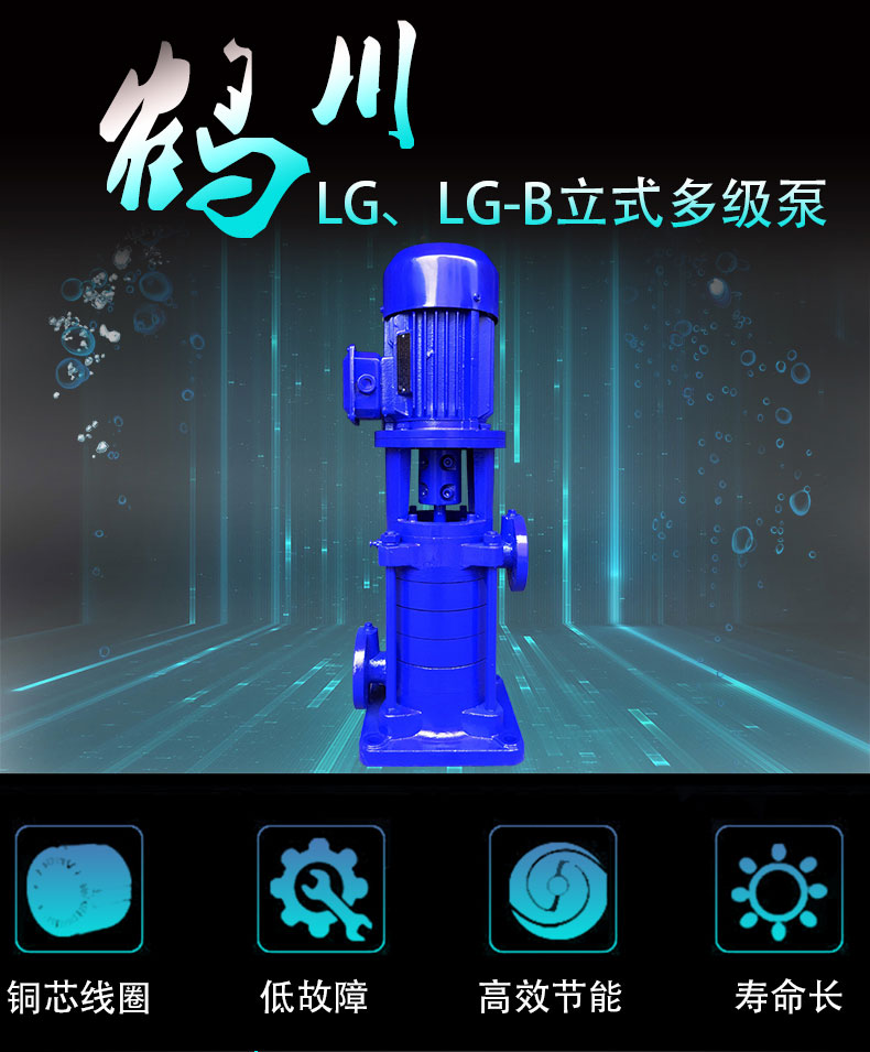 LG多級離心泵圖片/LG多級離心泵樣板圖 (2)