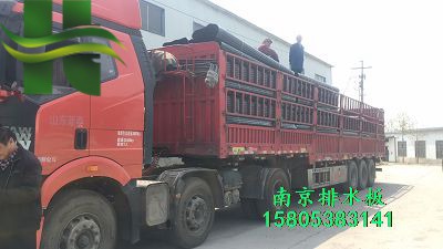 卷材排水板蓄排水板圖片