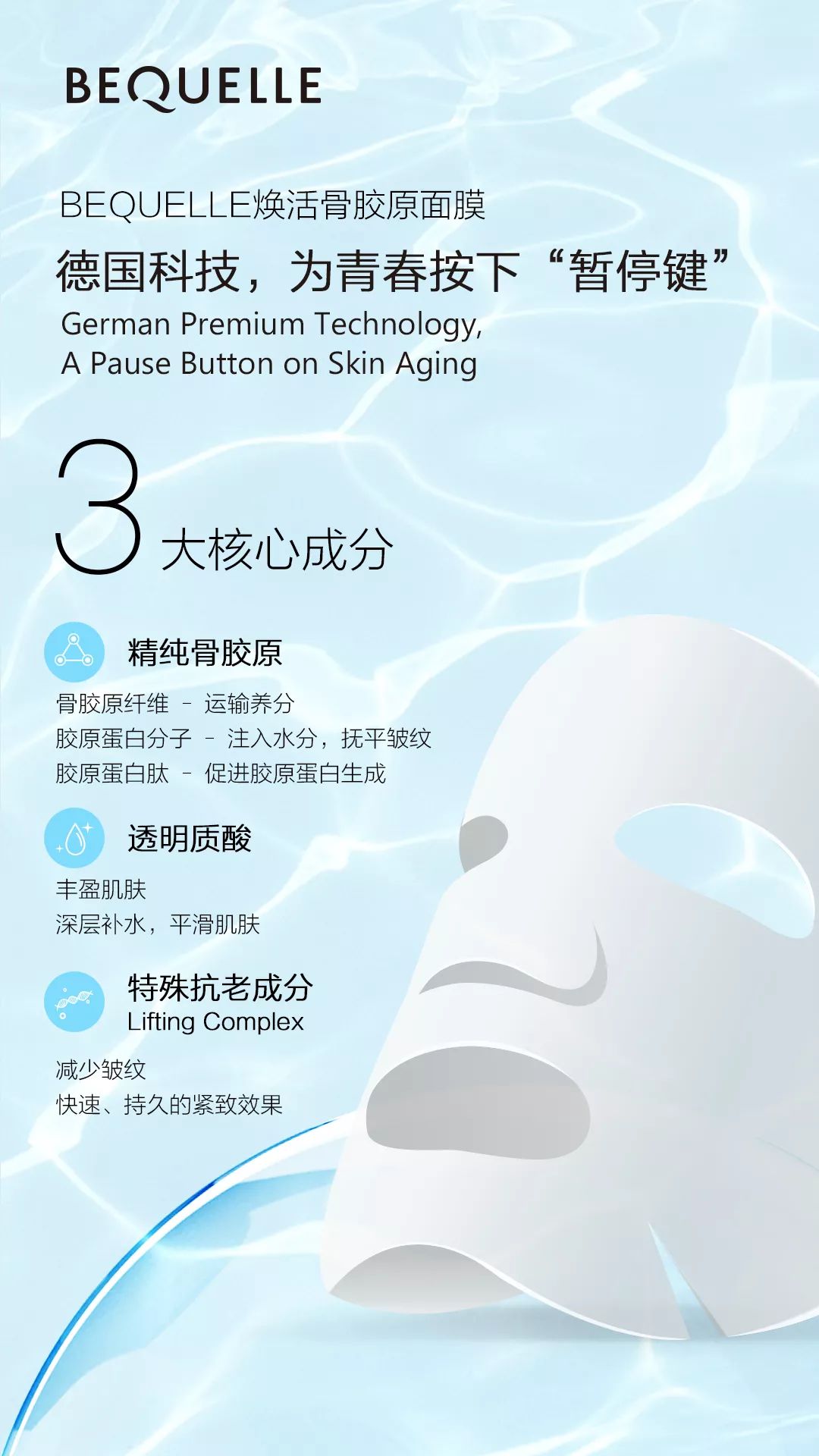 骨膠原面圖片/骨膠原面樣板圖 (2)
