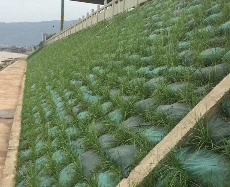 生態(tài)袋現(xiàn)貨圖片/生態(tài)袋現(xiàn)貨樣板圖 (2)