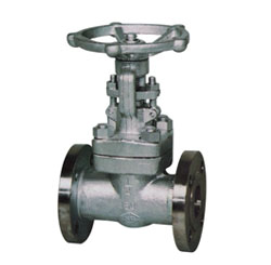 法蘭連接API鑄鋼閘閥圖片