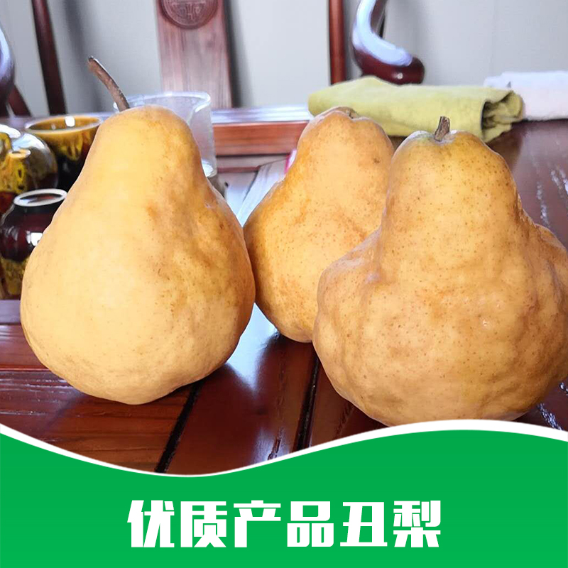 丑梨供應圖片/丑梨供應樣板圖 (3)