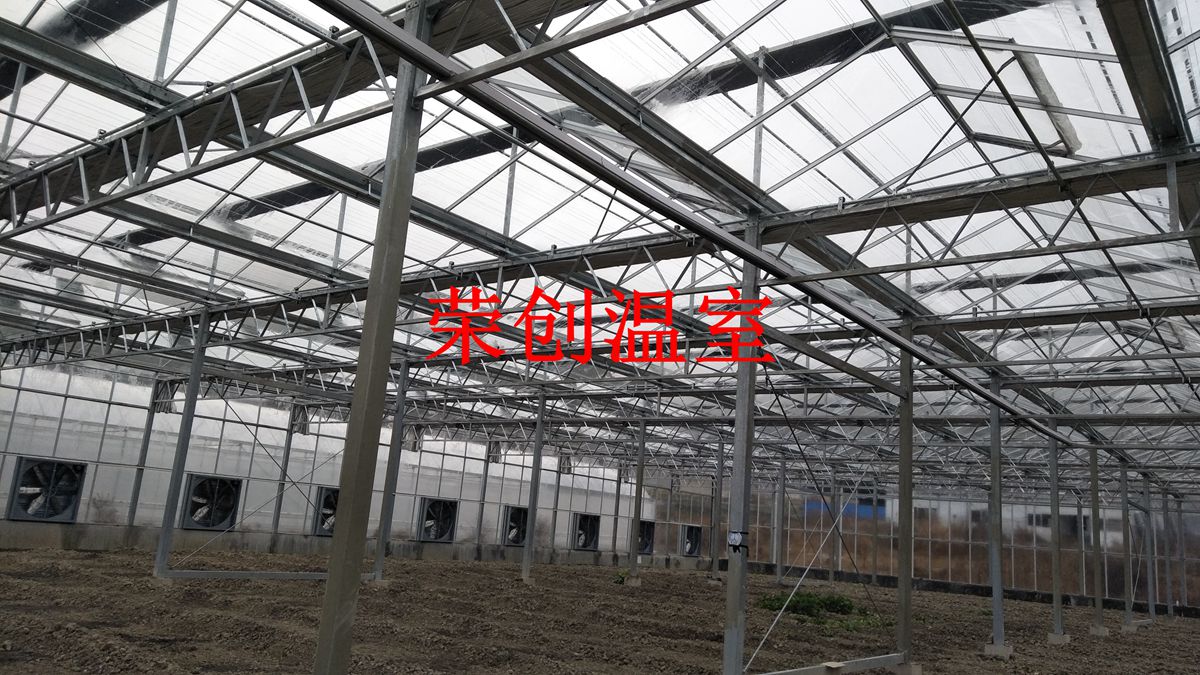 日光溫室大棚，冬暖式溫室大棚圖片/日光溫室大棚，冬暖式溫室大棚樣板圖 (3)