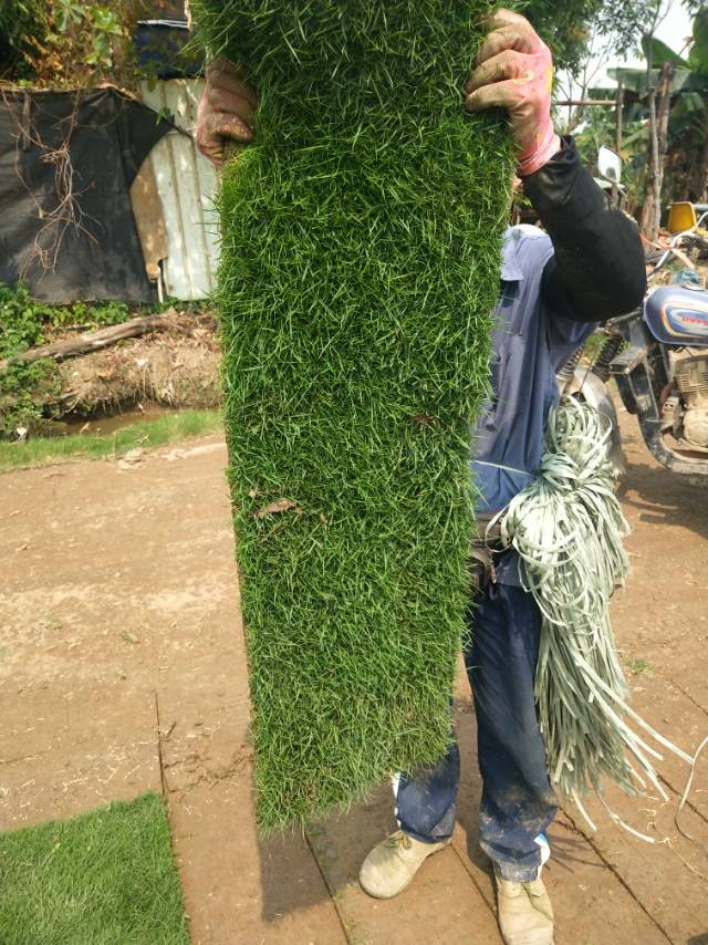 草塊圖片/草塊樣板圖 (3)