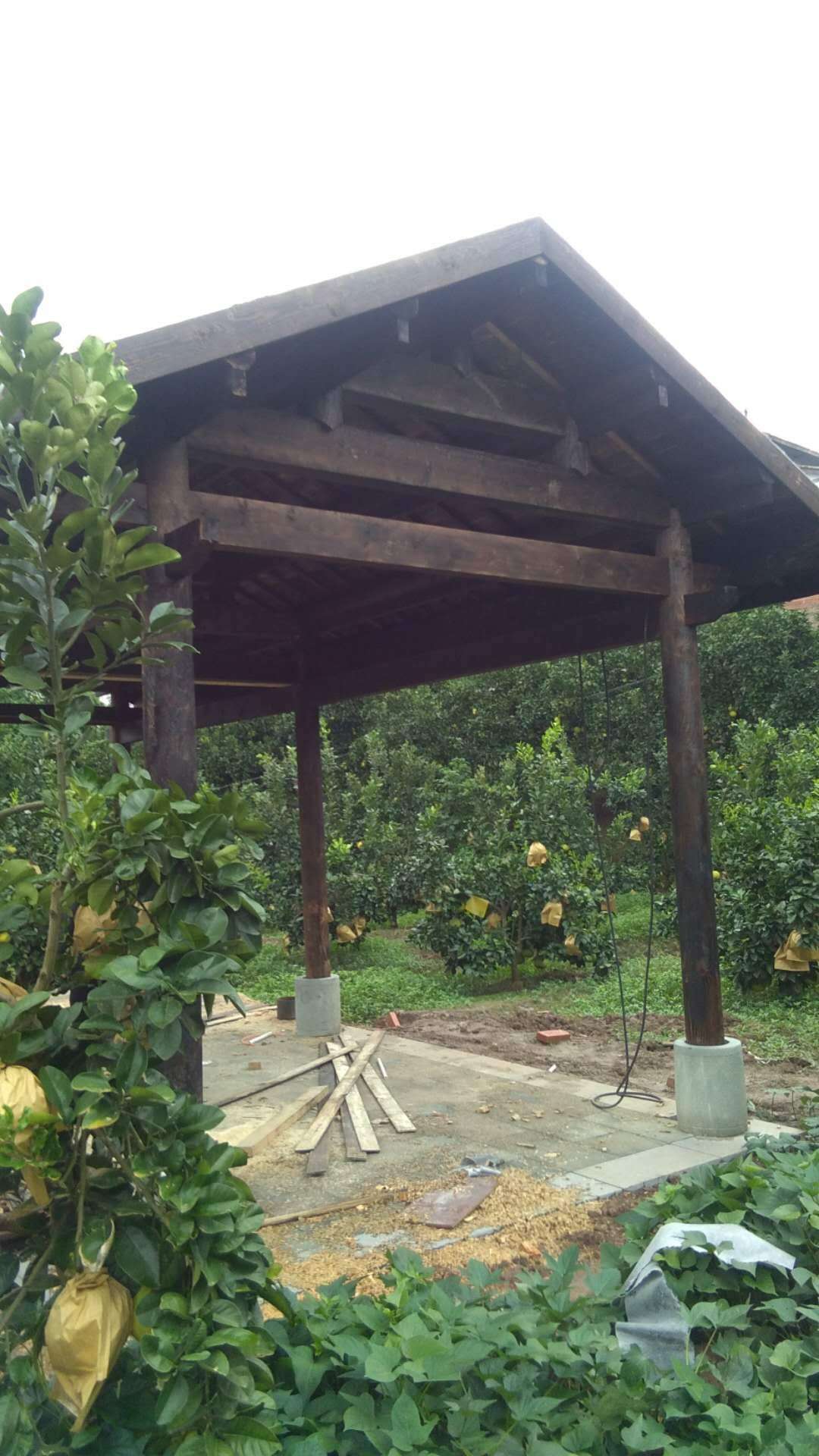 古建亭子圖片/古建亭子樣板圖 (3)