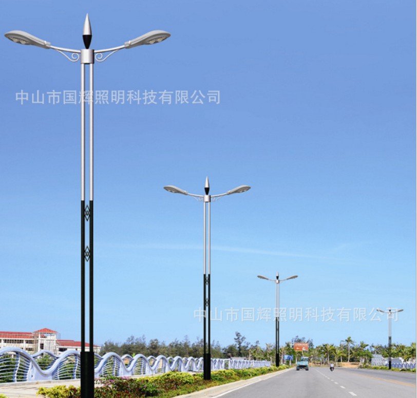 小區(qū)路燈桿廠家圖片/小區(qū)路燈桿廠家樣板圖 (2)