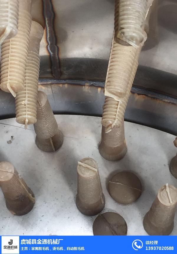 金通燙毛機(jī)廠家報(bào)價(jià) 燙毛機(jī)市場(chǎng)行情 專業(yè)生產(chǎn)脫毛機(jī)供應(yīng)商