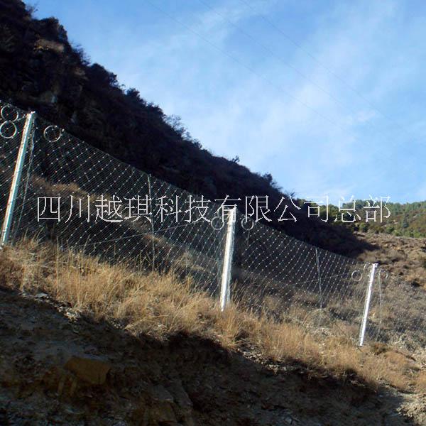 柔性防護網(wǎng)圖片/柔性防護網(wǎng)樣板圖 (2)