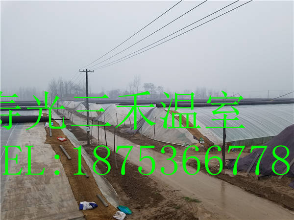 壽光塑料大棚廠家