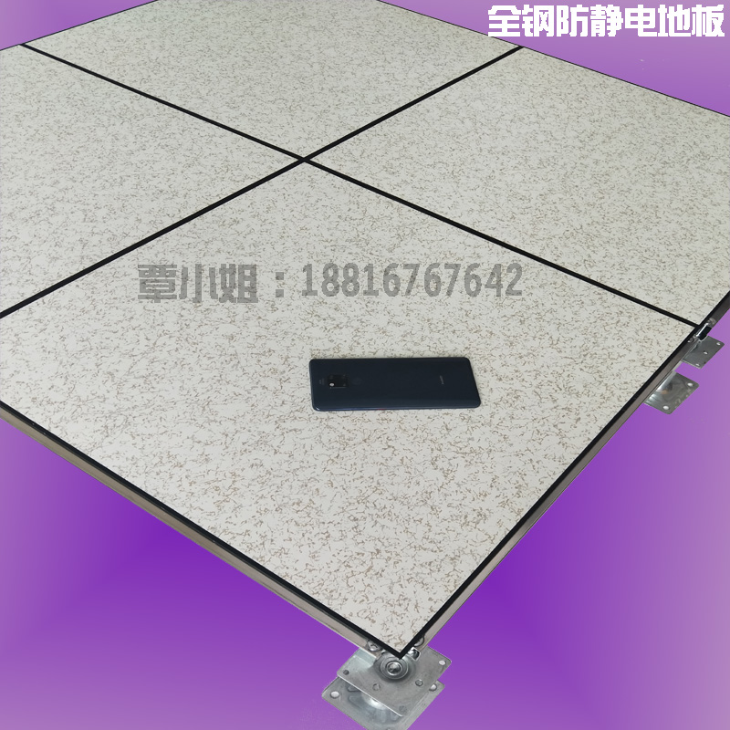 防靜電地板圖片/防靜電地板樣板圖 (1)