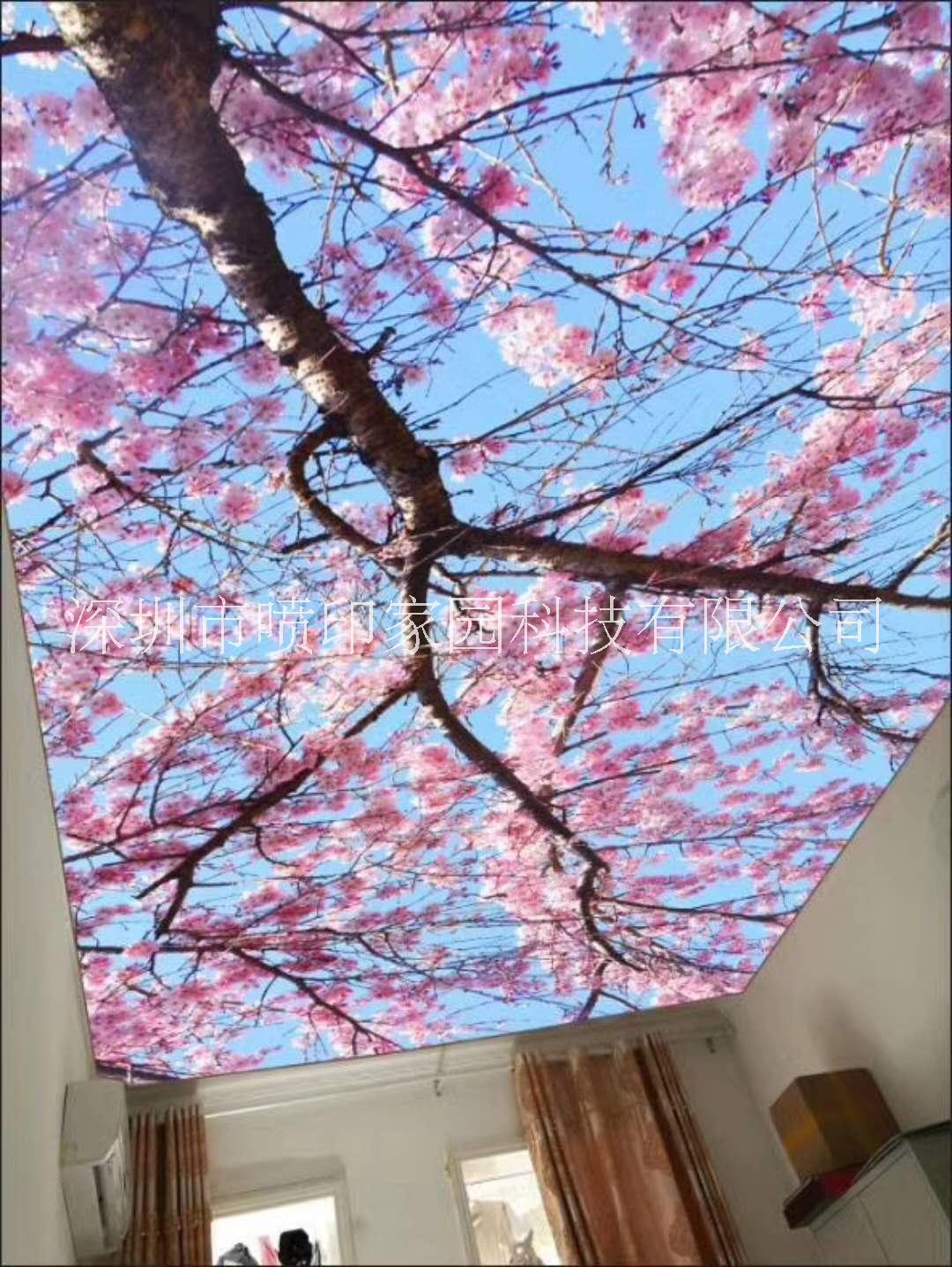 美國(guó)納智達(dá)UV墨水圖片/美國(guó)納智達(dá)UV墨水樣板圖 (3)