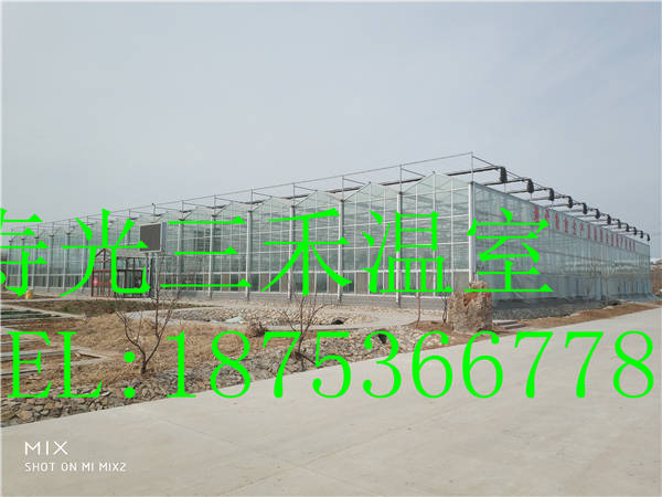 冬暖式花卉大棚圖片