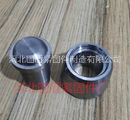 導(dǎo)輪圖片/導(dǎo)輪樣板圖 (3)