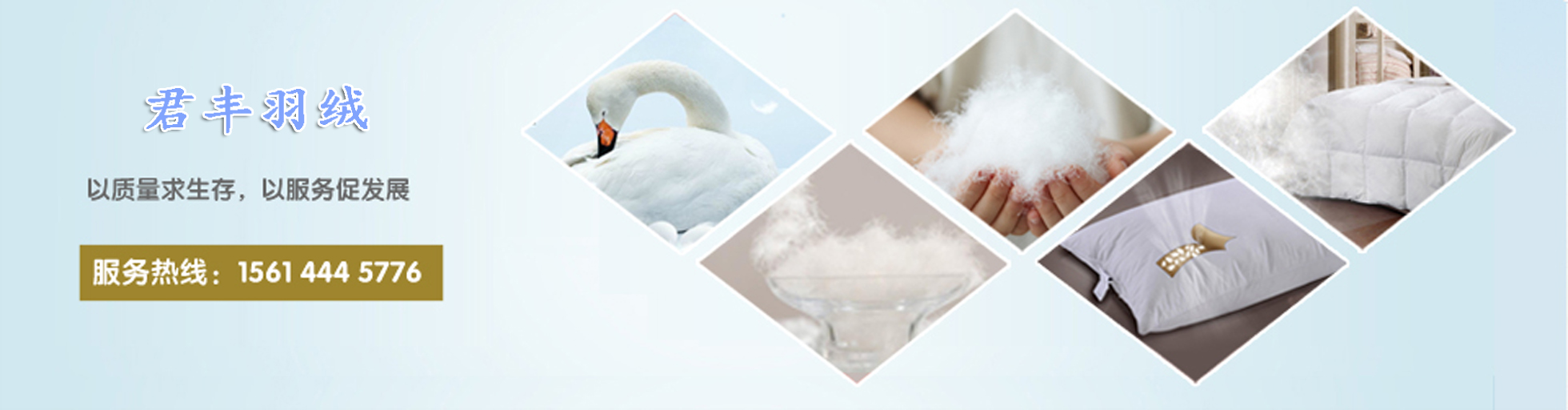 哈爾濱羽絨廠家國(guó)標(biāo)90鴨絨價(jià)格圖片/哈爾濱羽絨廠家國(guó)標(biāo)90鴨絨價(jià)格樣板圖 (4)