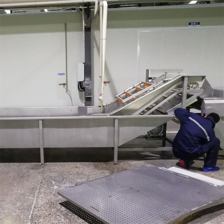 蔬菜清洗機 荔枝氣泡清洗機 海蠣子噴淋清洗機設(shè)備