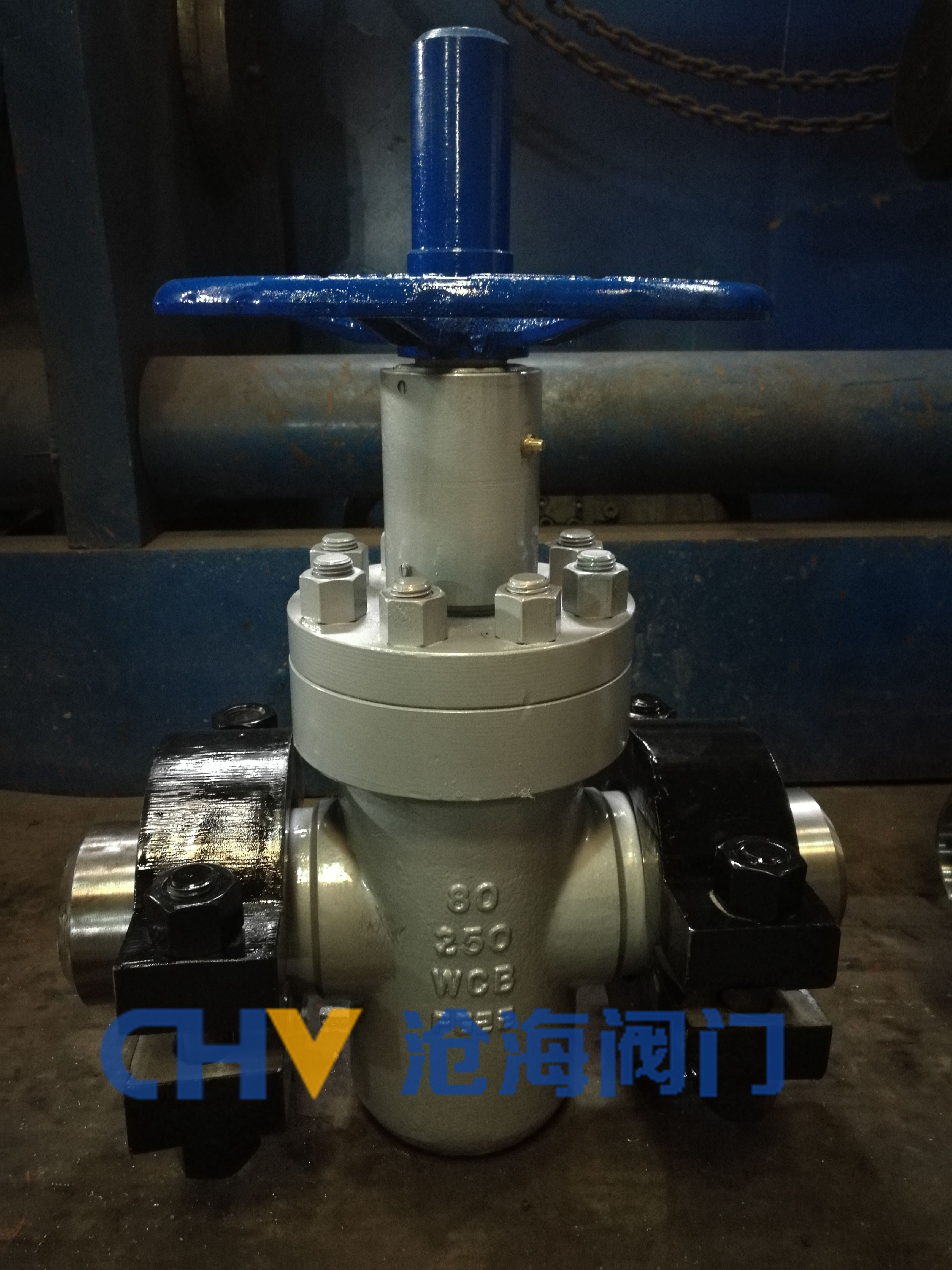 平板閘閥圖片/平板閘閥樣板圖 (1)