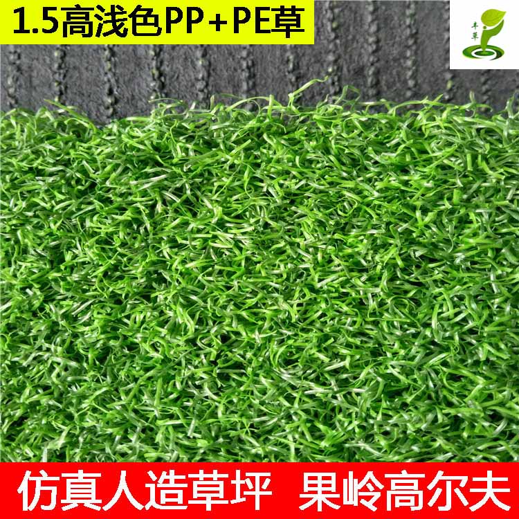 廣州高爾夫球場專用人造草圖片/廣州高爾夫球場專用人造草樣板圖 (3)