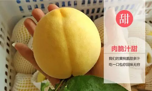 看一下炎陵黃桃是什么？?圖片/看一下炎陵黃桃是什么？?樣板圖 (2)