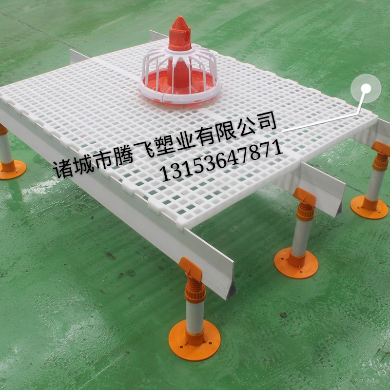 塑料漏糞板圖片/塑料漏糞板樣板圖 (2)