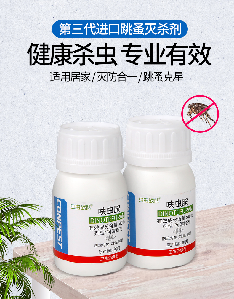 跳蚤圖片/跳蚤樣板圖 (2)