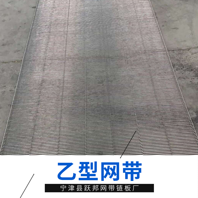 山東乙型網(wǎng)帶廠家/報(bào)價(jià)/批發(fā) 山東乙型網(wǎng)帶批發(fā)