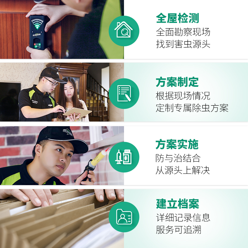 滅蟑螂公司圖片/滅蟑螂公司樣板圖 (3)
