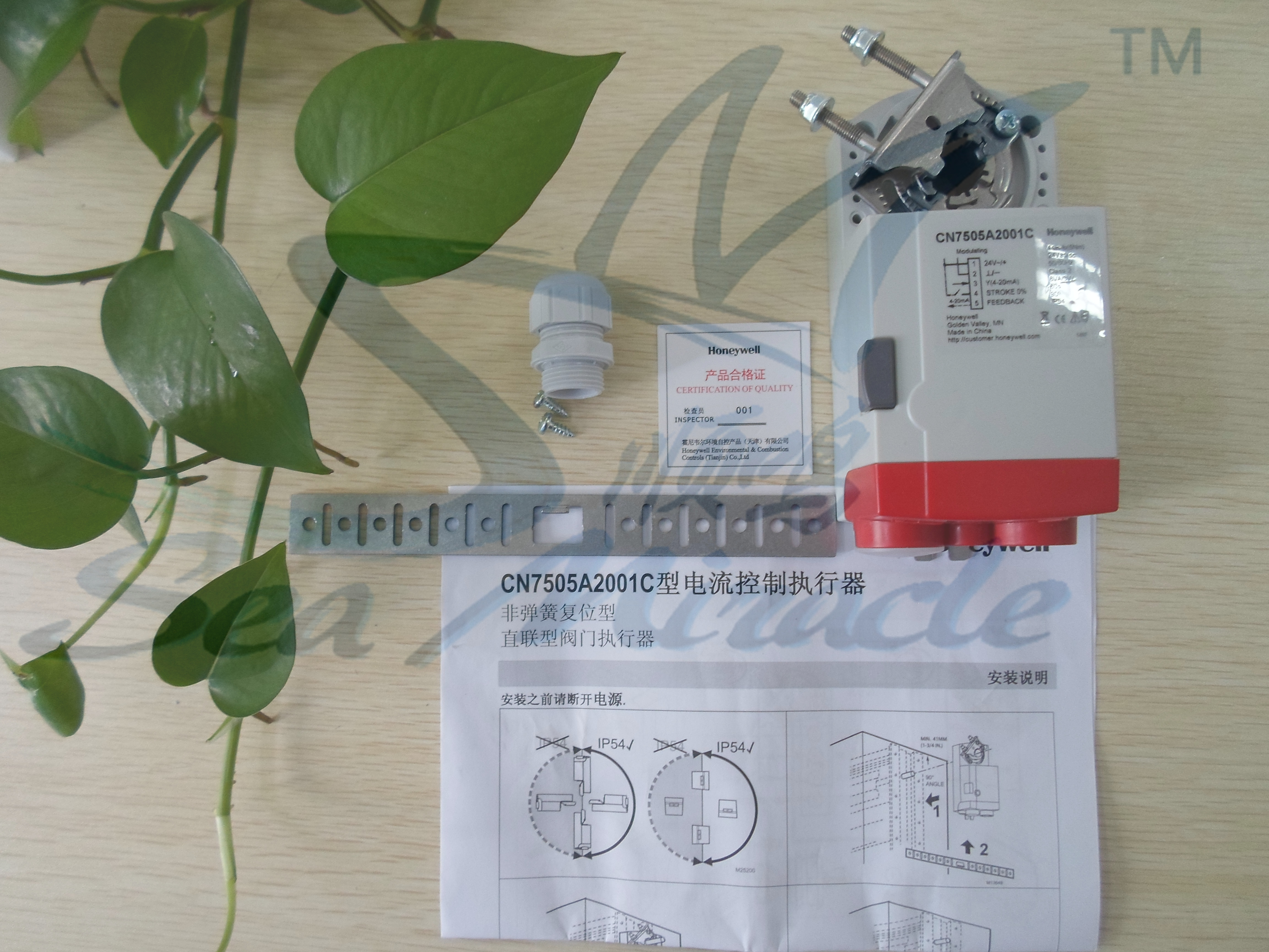 CN6105A1011圖片/CN6105A1011樣板圖 (2)