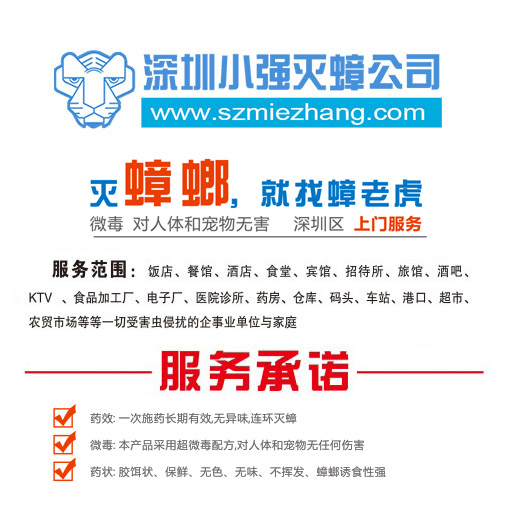 滅蟑公司圖片/滅蟑公司樣板圖 (2)