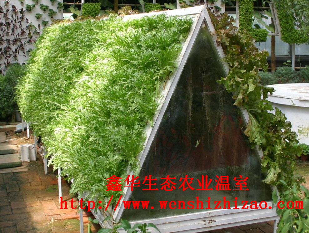 溫室大棚水培管 陽(yáng)臺(tái)水培無(wú)土栽培 大棚溫室立體管道水培設(shè)備價(jià)格