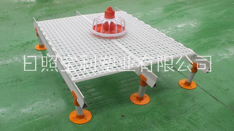 雞鴨用漏糞板鴿舍漏糞地板育雛小雞