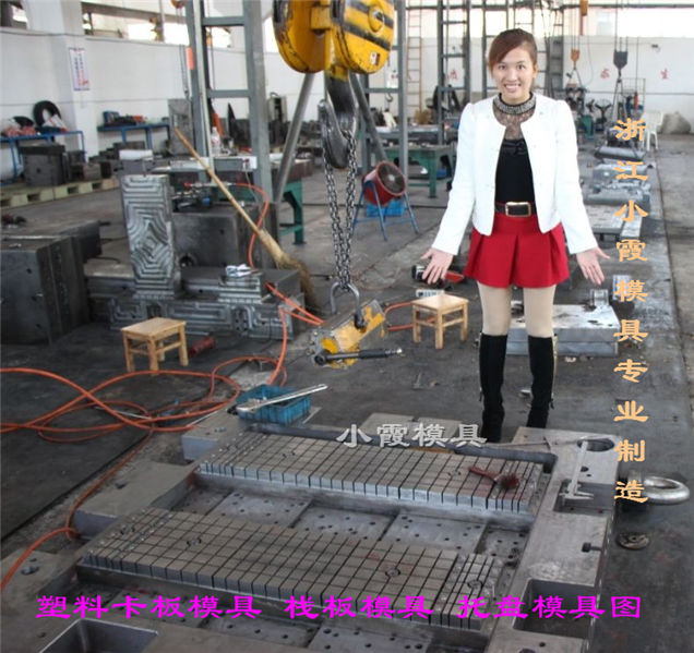 注射托盤圖片/注射托盤樣板圖 (4)