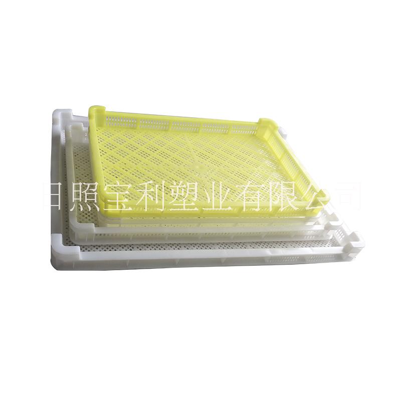塑料單凍器烘干盤烘盤晾曬盤筐冷凍圖片/塑料單凍器烘干盤烘盤晾曬盤筐冷凍樣板圖 (3)