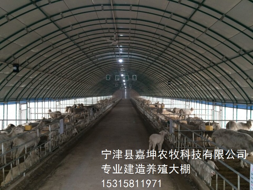 橢圓管圖片/橢圓管樣板圖 (1)