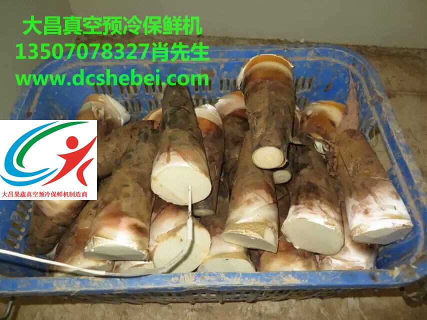蔬菜真空預(yù)冷機(jī)，蔬菜保鮮設(shè)備圖片/蔬菜真空預(yù)冷機(jī)，蔬菜保鮮設(shè)備樣板圖 (3)