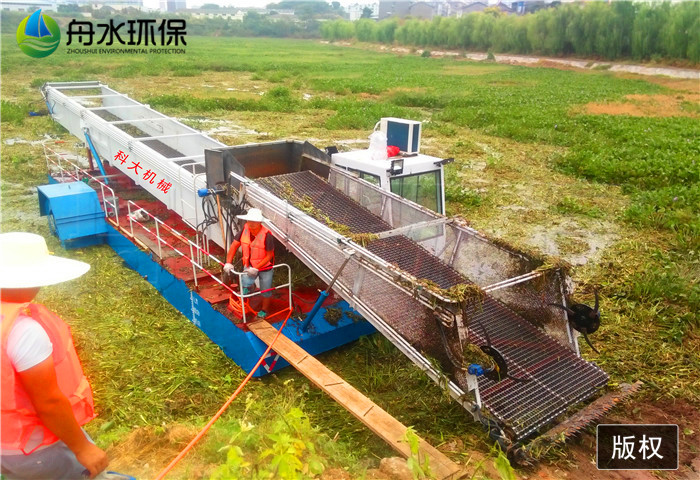 水葫蘆收割船圖片/水葫蘆收割船樣板圖 (4)
