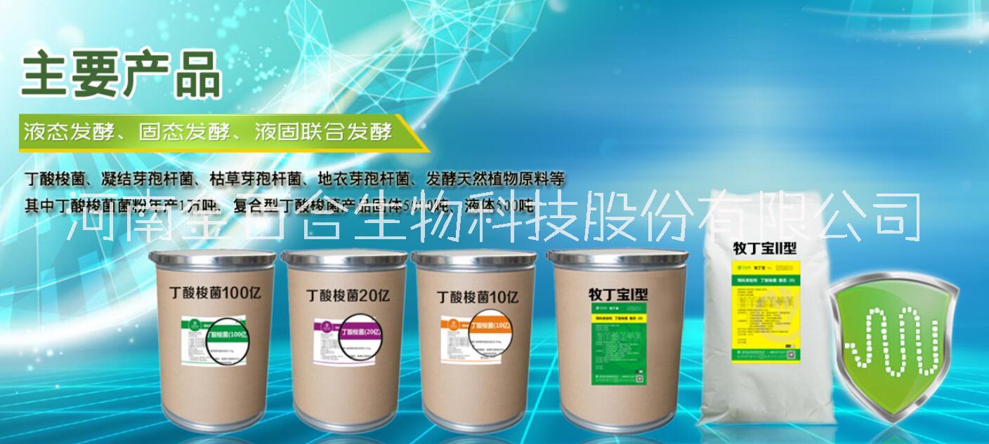 什么是*梭菌？*梭菌有哪些特點？