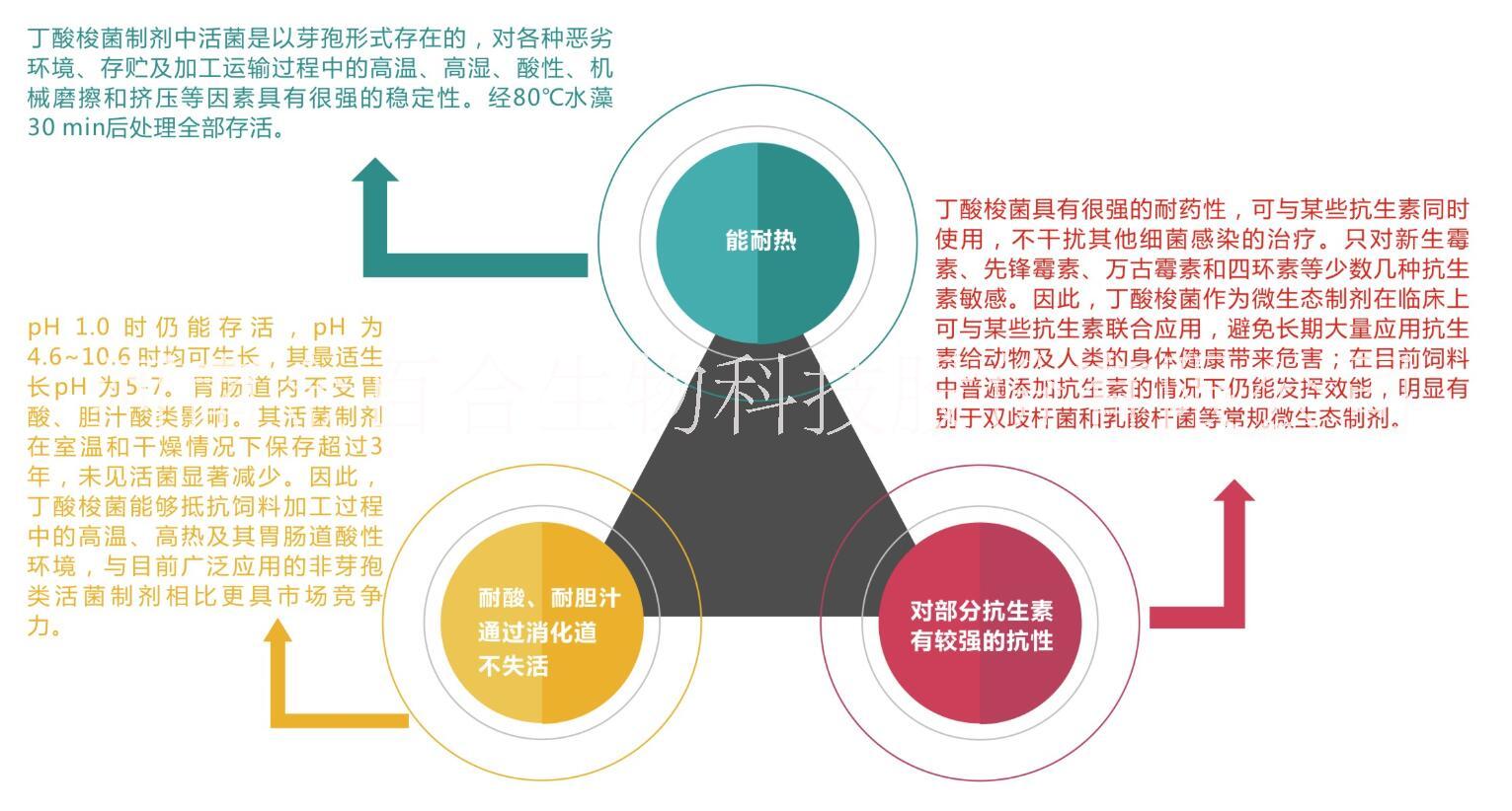 丁酸圖片/丁酸樣板圖 (2)