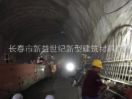 隧道襯砌圖片/隧道襯砌樣板圖 (1)