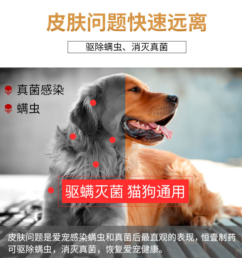 皮膚抑菌圖片/皮膚抑菌樣板圖 (4)