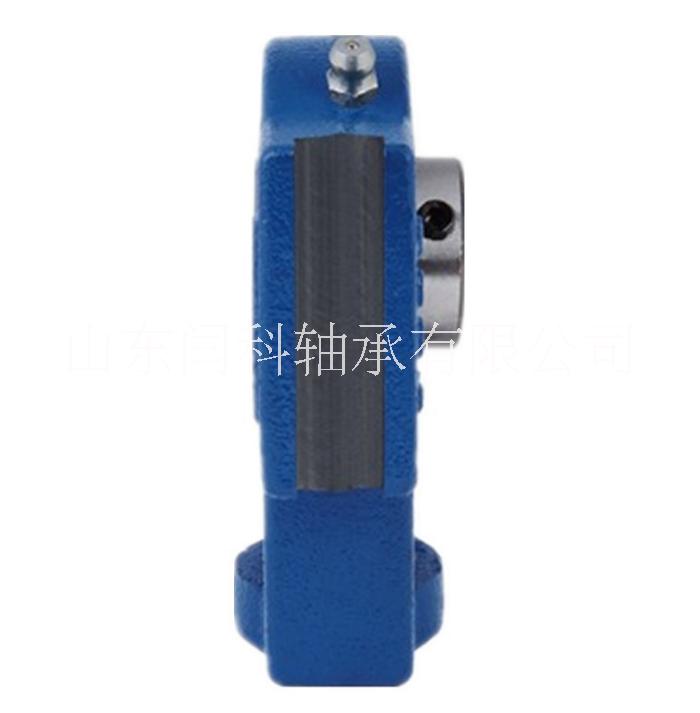 座外球面軸承圖片/座外球面軸承樣板圖 (2)