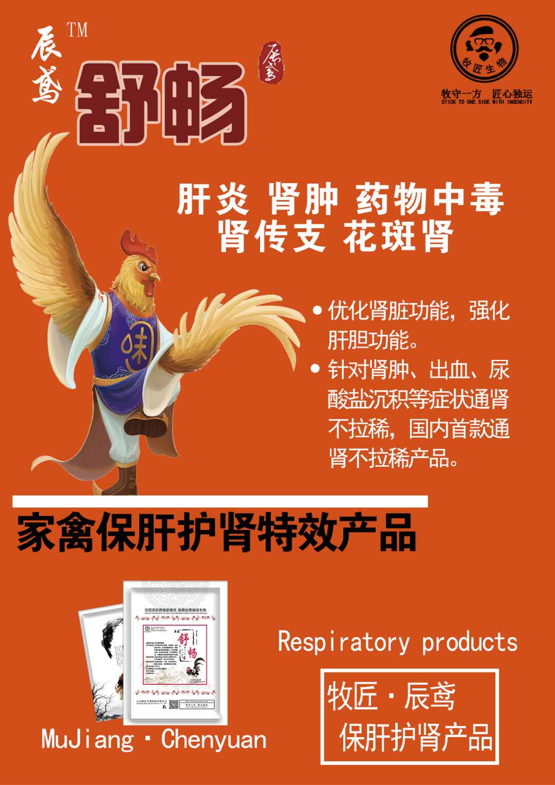 雞腎傳支圖片/雞腎傳支樣板圖 (2)