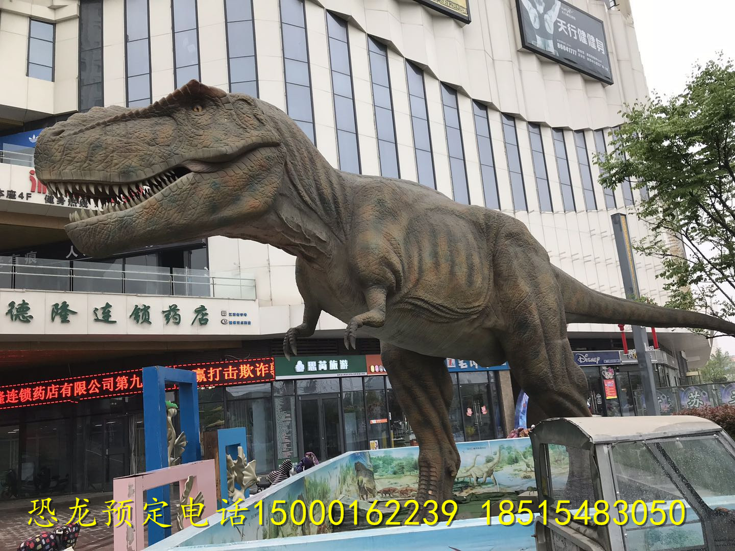 恐龍模型圖片/恐龍模型樣板圖 (2)