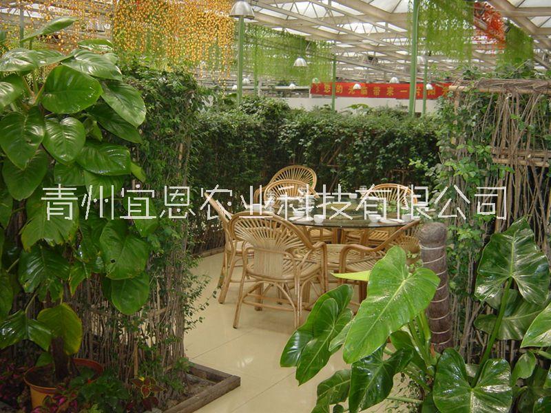 玻璃溫室圖片/玻璃溫室樣板圖 (2)