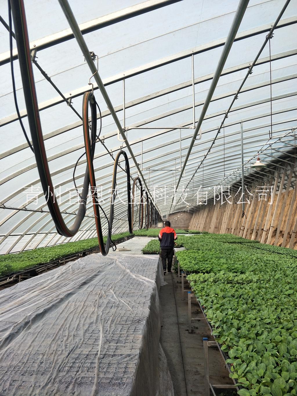 日光溫室圖片/日光溫室樣板圖 (4)