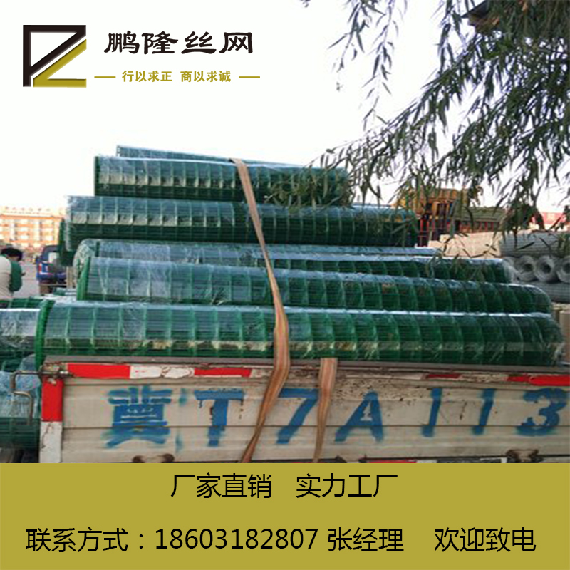 波浪網(wǎng)荷蘭網(wǎng)圖片/波浪網(wǎng)荷蘭網(wǎng)樣板圖 (3)